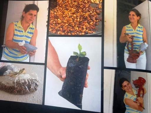 Collage de fotos realizadas por turistas a una campesina productora de caf.