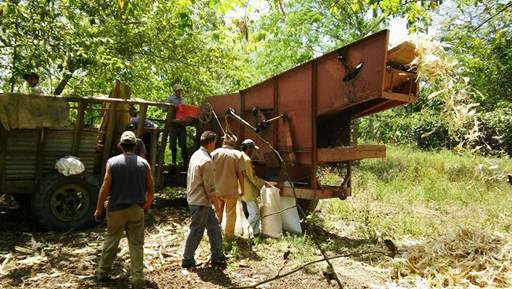 Agricultura a pequea escala en la actualidad: maquinaria para procesar maz.