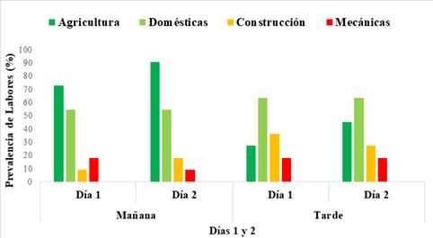 Frecuencia de actividades en dos das consecutivos en los horarios de la maana y la tarde.