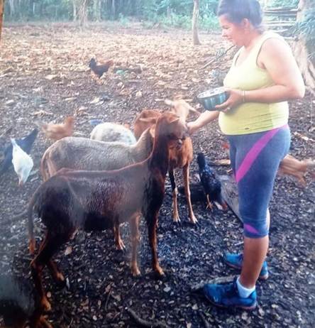 Campesina alimentando a los animales.