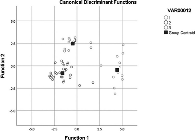 Funciones discriminantes, grupos identificados y centroides de los grupos.