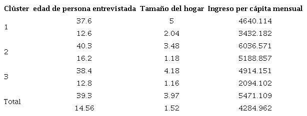 Medias y desviaciones estándar de otros indicadores relevantes