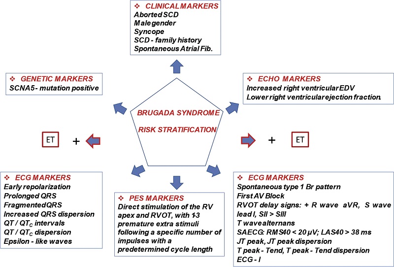 &ndash; Suggested markers for risk stratification in Brugada syndrome.