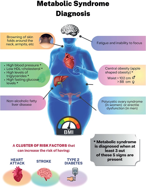 Diagnostic findings of MetS.