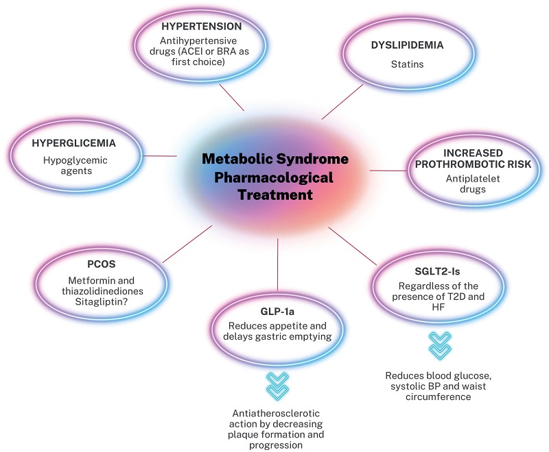Pharmacological treatment of MetS.