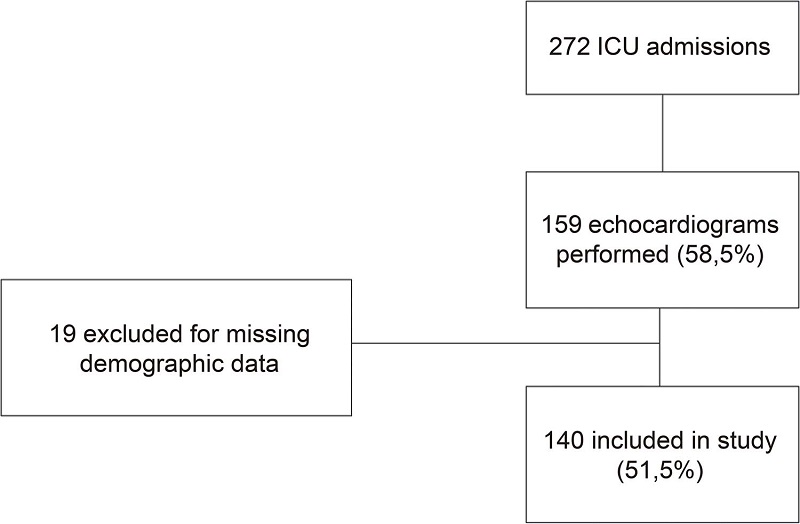 &ndash; Flowchart of inclusion of patients in the study.