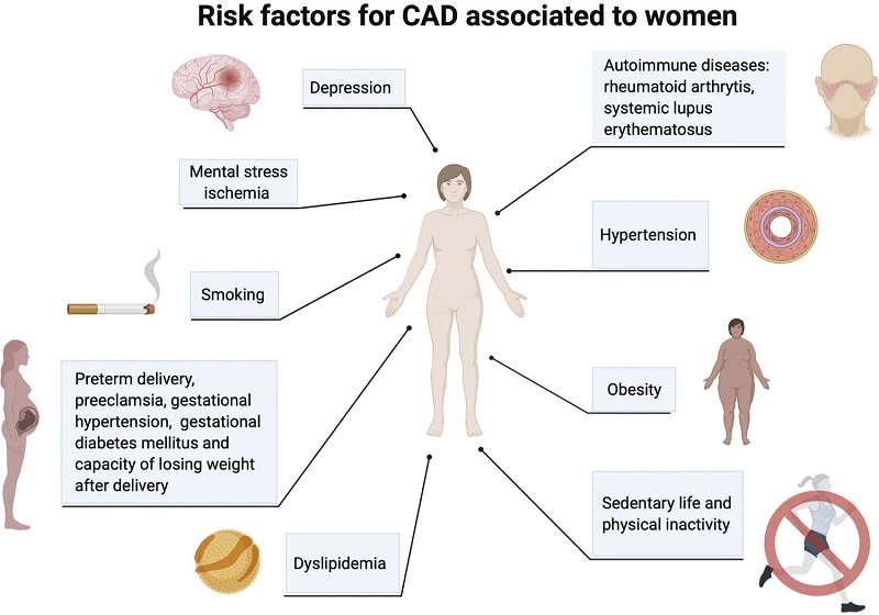 &ndash; Risk factors for CAD associated to women.