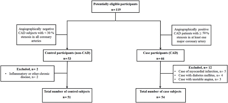 Flow diagram of participants throughout the study.