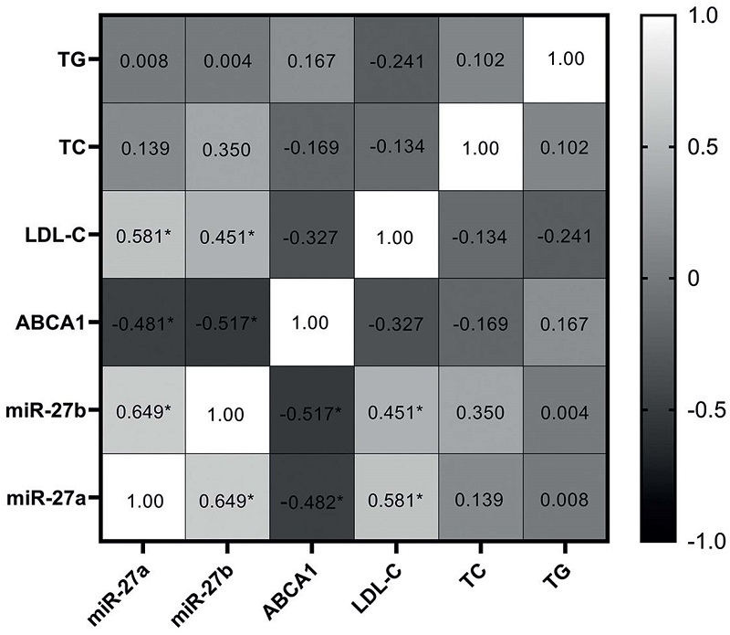 Correlations between miR-27a/b with ABCA1 expression and other variables. For abbreviations, see Table 2. * Correlation is significant at the 0.05 level (two-tailed test).