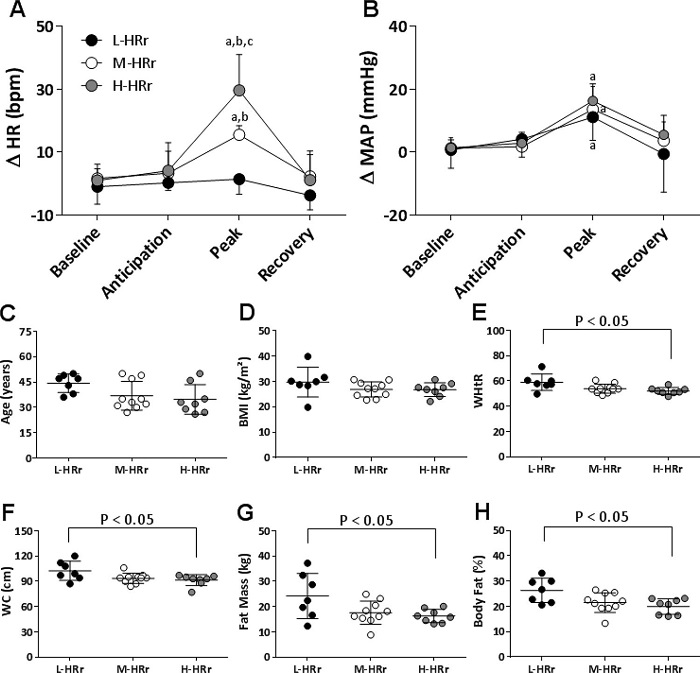 – A) heart rate (HR), and B) mean arterial pressure (MAP) reactivity to acute mental stress; C) Age; D) body mass index (BMI); E) waist to height ratio (WHtR); F) waist circumference (WC); G) fat mass; and H) body fat in firefighters stratified by the ΔHR peak reactivity. Two-way ANOVA with repeated measurements followed by Tukey's post-test for panels A-B; One-way ANOVA followed by Tukey's post-test for panels C-H; a significant vs. Baseline; b significant vs. L-HRr group; c significant vs. M-HRr group; P < 0.05. The results are presented as the means ± SEM for Panels A-B and as the means ± SD for panels C-H. Low ΔHR peak reactivity group (L-HRr; n=7), Medium ΔHR peak reactivity group (M-HRr; n=10), High ΔHR peak reactivity group (H-HRr; n=8).