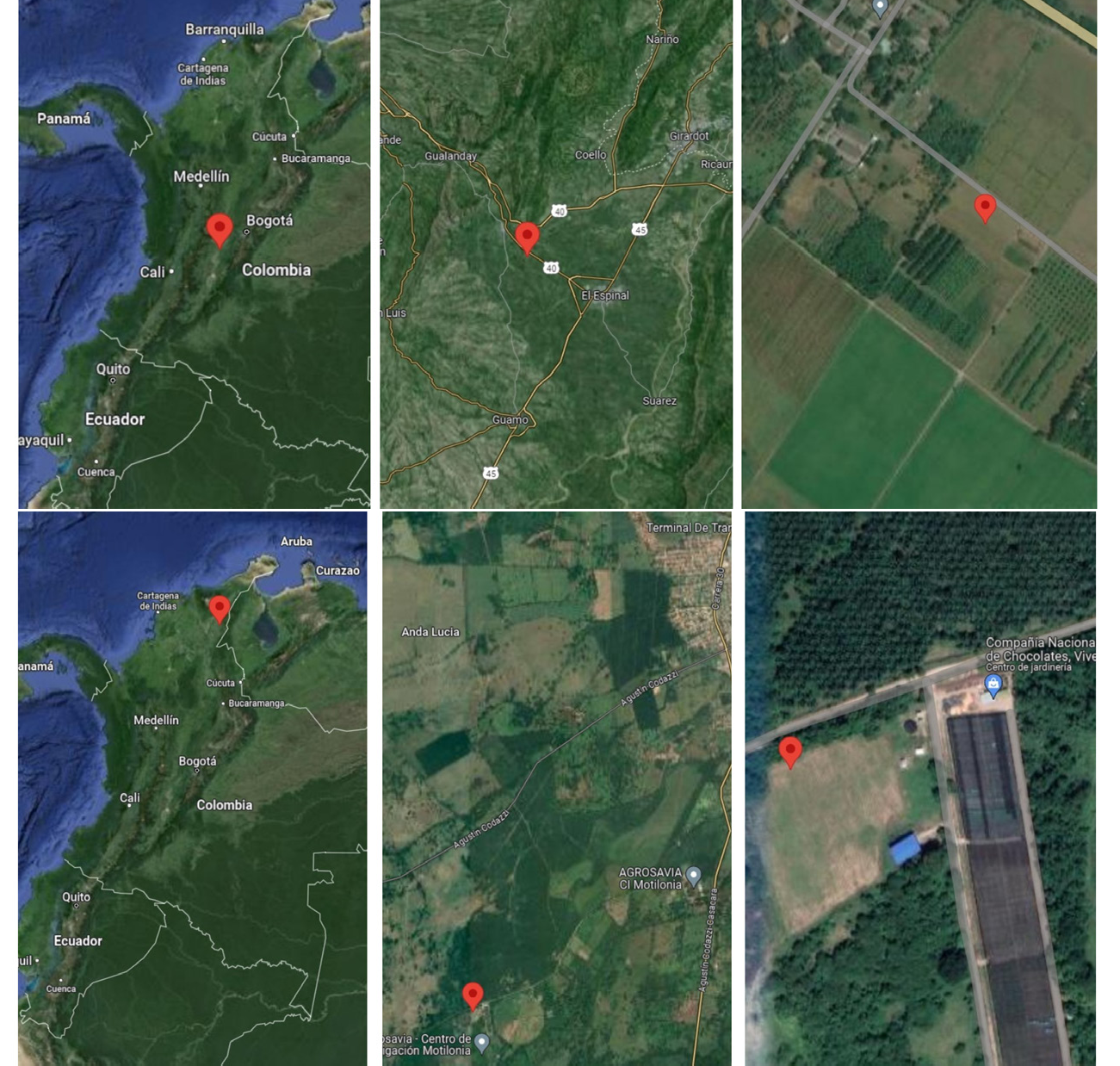 Localizacin del experimento. Arriba: Centro de Investigacin Nataima ubicado en el valle clido del Alto Magdalena, municipio El Espinal, departamento de Tolima. Abajo: Centro de Investigacin Motilonia ubicado en el Caribe seco colombiano, municipio Agustn Codazzi, departamento del Csar. Imgenes tomadas de Google Maps (s.f.). Ver el mapa en: https://maps.app.goo.gl/vR2GTE35U5cjioJA9, https://maps.app.goo.gl/ o7J6Mg6fwMHRubnD9.