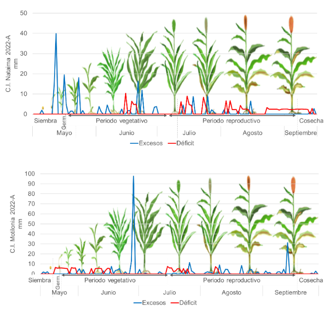 Balance hdrico del ensayo de retardantes de crecimiento de sorgo en el C.I. Nataima y el C.I. Motilonia durante ciclo fenolgico del cultivo en el primer semestre del 2022