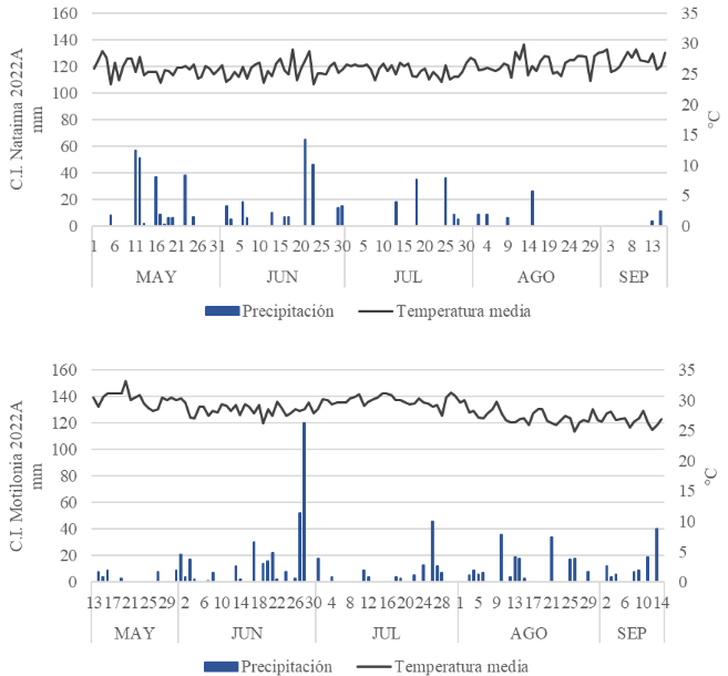 Precipitaciones y temperaturas medias registras en el ensayo de retardantes de crecimiento de sorgo en el C.I. Nataima y el C.I. Motilonia durante el primer semestre del 2022