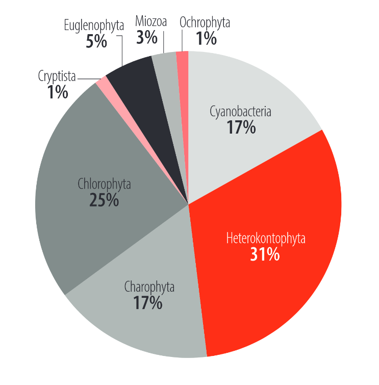 Distribuci�n porcentual (%) de la riqueza espec�fica de fitoplancton en el lago San Pablo.