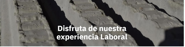 Desarrollo de men&uacute; en plataforma.