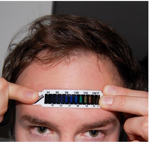 Term&oacute;metro frontal de pl&aacute;stico. Contiene cristal l&iacute;quido que cambia de color con la temperatura. Imagen obtenida de Eric Allix Rogers, en Flickr bajo licencia Creative Commons (https://creativecommons.org/licenses/by-nc-nd/2.0/)