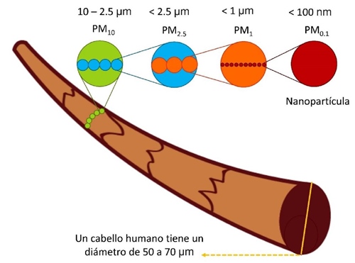 Escala de tama&ntilde;o de las NPs. Un cabello humano tiene un di&aacute;metro aproximado de 50 a 70 micr&oacute;metros (un micr&oacute;metro, o micra, es la mil&eacute;sima parte de un mil&iacute;metro). Las part&iacute;culas se clasifican seg&uacute;n su di&aacute;metro aerodin&aacute;mico como PM10 (part&iacute;culas entre 2.5 y 10), PM2.5 (part&iacute;culas menores a 2.5 micras), PM1 (part&iacute;culas menores a 1 micra) y como PM0.1 (part&iacute;culas menores a 100 nm), tambi&eacute;n denominadas NPs. 