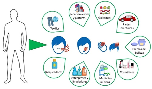 V&iacute;as de ingesta de NPs para el humano y productos de uso cotidiano que podr&iacute;an contener NPs.