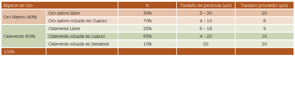 Distribuci&oacute;n de especies oro de la muestra del mineral proveniente de una mina del noroeste del pa&iacute;s con mineral refractario de telururo de oro.