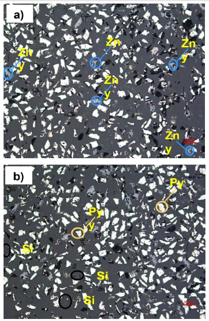 Fotomicrografía de las partículas del concentrado de estudio para la fracción +325μm: (a) Granos de esfalerita y (b) Granos de silicatos y partículas de pirita. Escala: 100 μm.