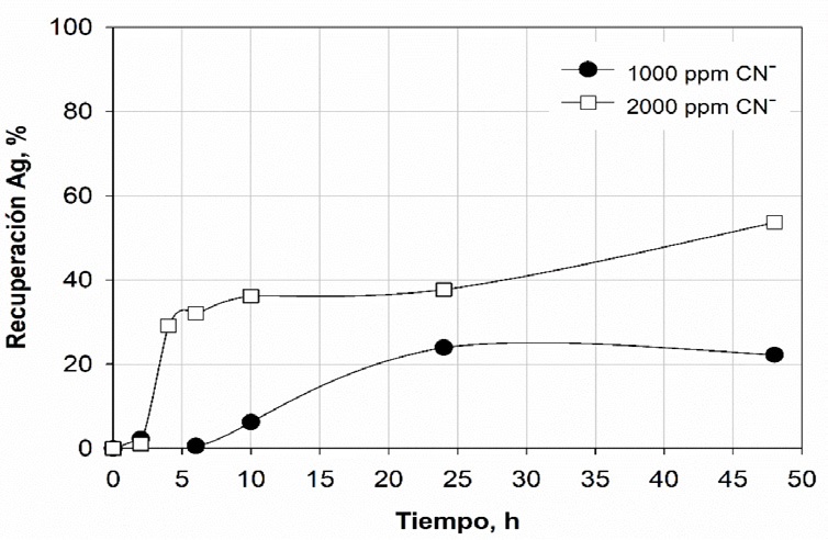 Cinética de lixiviación de plata contenido en el concentrado de pirita auríferoempleando una cianuración convencional.