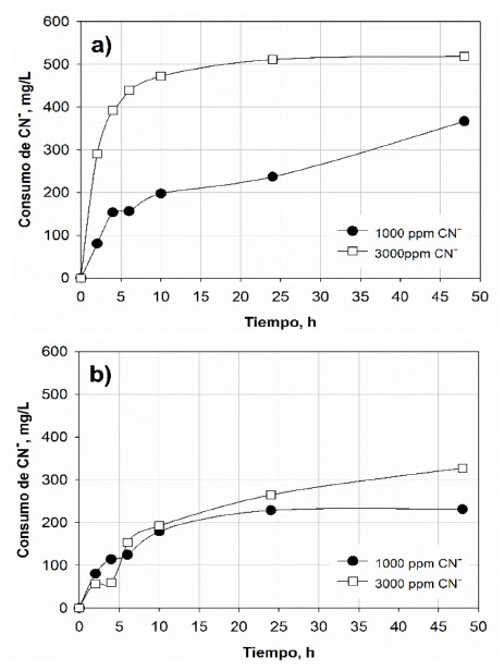 Consumo de cianuro para el concentrado de pirita para 1000 y 3000 ppm CN-, para el a) proceso de cianuración convencional y b) utilizando
