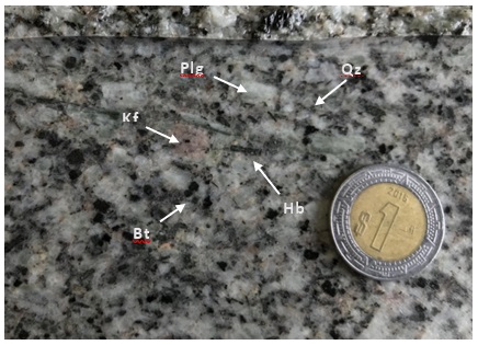 Fotograf&iacute;a del intrusivo cuarzomonzon&iacute;tico tomada de una muestra de n&uacute;cleo de barrenaci&oacute;n, mostrando un aspecto de la mineralog&iacute;a. Plg (plagioclasa); Qz (cuarzo); Kf (feldespato pot&aacute;sico); Hb (hornblenda); Bt (biotita).