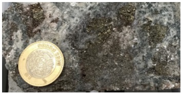 Fotograf&iacute;a de una muestra de n&uacute;cleo de un intrusivo porf&iacute;dico mineralizado. Debido a la alteraci&oacute;n hidrotermal, la mineralog&iacute;a es dif&iacute;cil de distinguir en esta imagen. Los parches de sulfuros arriba y a la derecha de la moneda son principalmente de calcopirita y pirita.