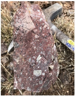 Muestra de mano de la brecha El Pilar donde se observan clastos de rocas volc&aacute;nicas f&eacute;lsicas en una matriz ferruginosa.