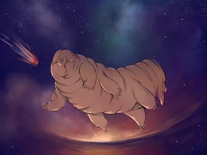 Animaci&oacute;n de un Tardigrado (Mylnesium sp.) Elaboraci&oacute;n propia. 