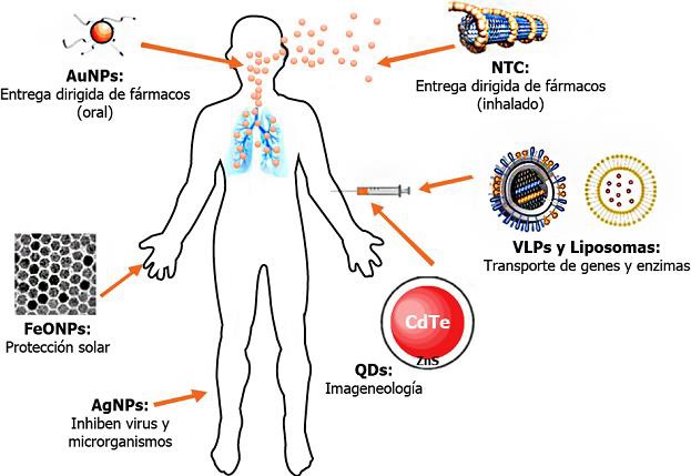 Aplicaci&oacute;n de los nanomateriales de inter&eacute;s biom&eacute;dico. NTC: Nanotubos de carbono; VLPS: Part&iacute;culas Tipo Virus (por sus siglas en ingl&eacute;s Virus Like Particles); QDs: Puntos cu&aacute;nticos (por sus siglas en ingl&eacute;s quantum dots), FeO NPs: nanopart&iacute;culas de &oacute;xido de hierro; AuNPs: nanopart&iacute;culas de oro; AgNPs: nanopart&iacute;culas de plata. Fuente: V&aacute;zquez-Mu&ntilde;oz R, Huerta-Saquero A. Toxicidad de los nanomateriales de inter&eacute;s biom&eacute;dico en los sistemas biol&oacute;gicos, (2018)[24]