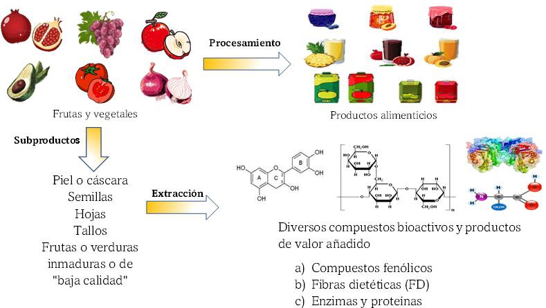Ilustraci&oacute;n gr&aacute;fica del procesamiento de frutas y vegetales y la obtenci&oacute;n de sus subproductos. 