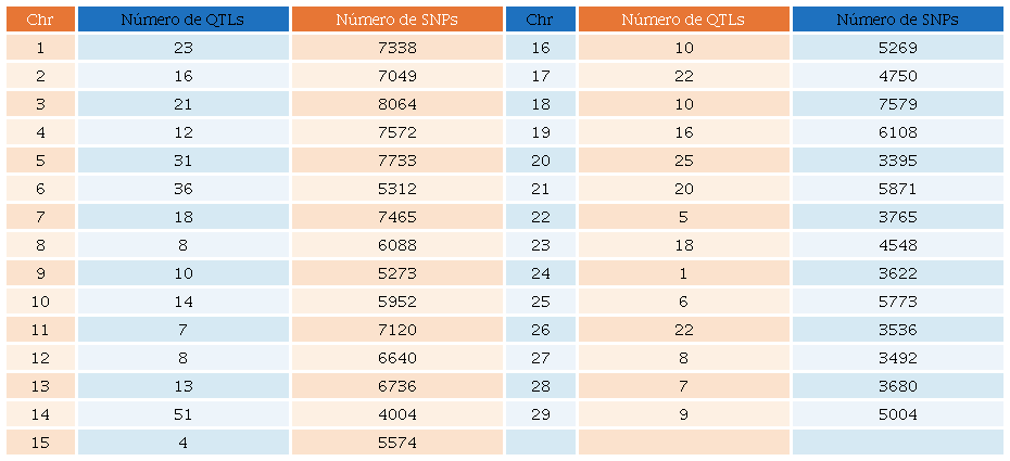 N&uacute;mero de QTLs relacionados con la producci&oacute;n lechera y n&uacute;mero de SNPs, por cromosoma.