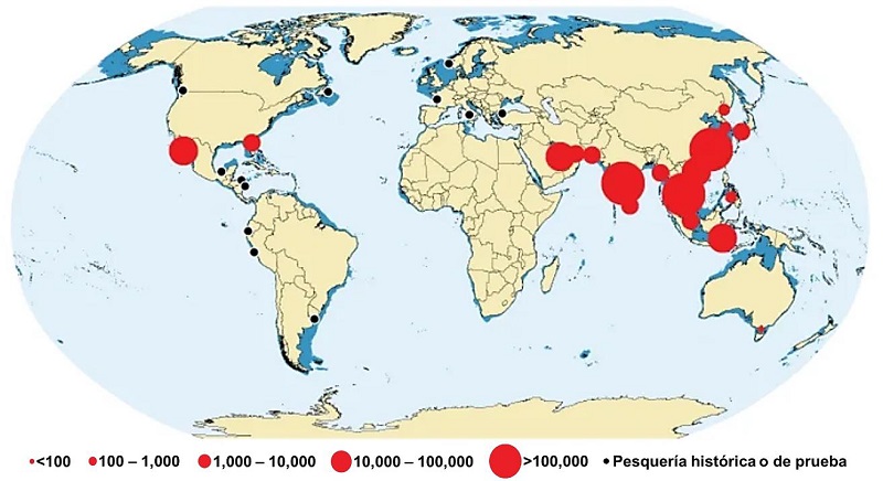 Pesca de medusas en todo el mundo. Los c&iacute;rculos negros y rojos representan la magnitud de captura en toneladas [25].