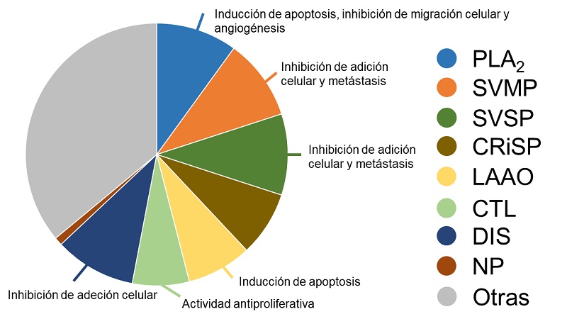 Composición venómica de serpientes de cascabel (Crotalus spp.) que ocurren en Sonora, México. Imagen modificada según datos de Deshwal et al. (2021) [11].