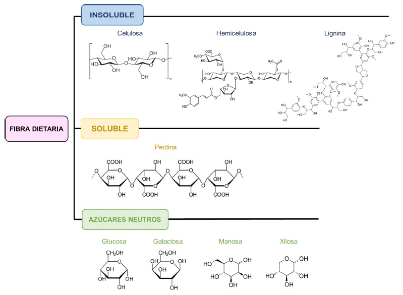 Clasificaci&oacute;n y estructuras de la fibra dietaria en el orujo de uva.