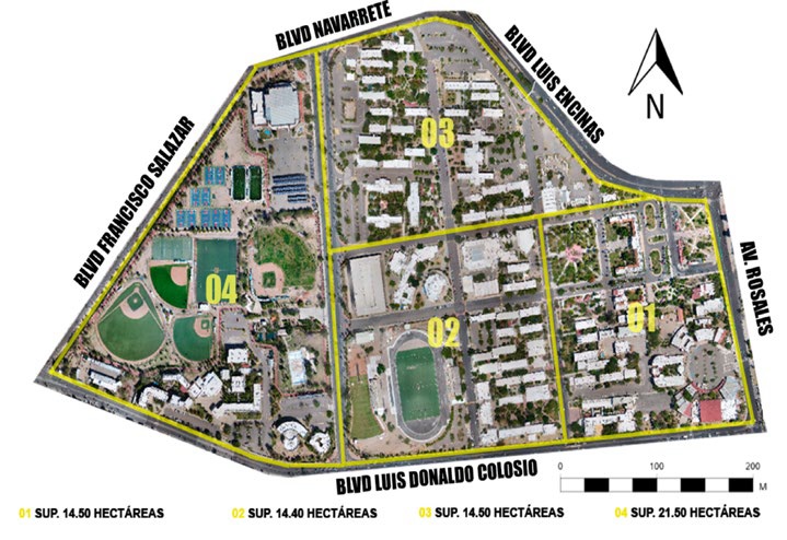 Sectorizaci&oacute;n del pol&iacute;gono de estudio. Fuente: Elaboraci&oacute;n propia. 
