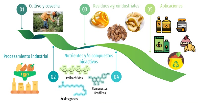 Ruta de la generaci&oacute;n de residuos agroindustriales y aplicaciones potenciales.