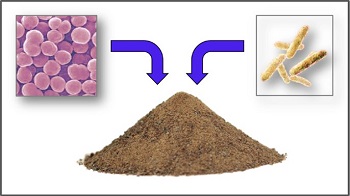 Harina de SCP de bacteria.