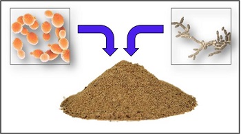 Harina de SCP de levadura.