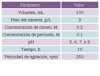 Condiciones para las pruebas de lixiviación.