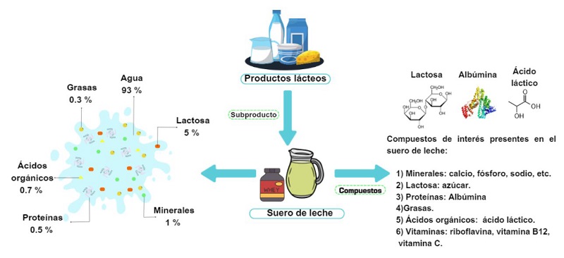 Composici�n del suero de leche. Informaci�n consultada: [27]