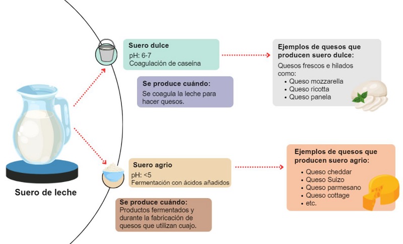 Tipos de suero de leche y de d�nde se generan. Informaci�n consultada de: [25]