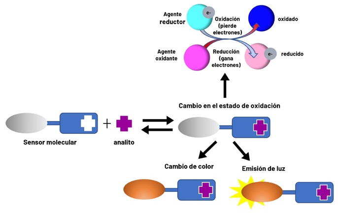 Tipos de respuestas que se pueden observar al interaccionar un sensor molecular con un analito
