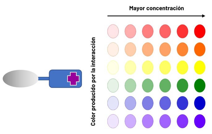 Sensor colorimtrico