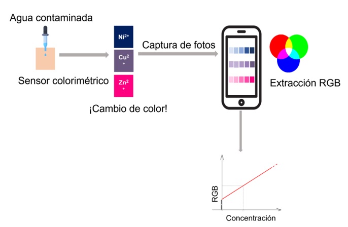 Representacin del proceso de deteccin colorimtrica