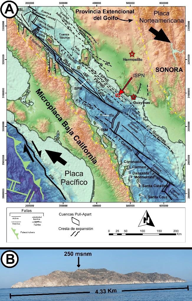 (A) Mapa regional del NW de M�xico que muestra la localizaci�n del �rea de estudio, la distribuci�n de las principales islas en el Golfo de California y las principales fallas y estructuras asociadas al l�mite de placas PAC-NAM del centro del Golfo de California, modificado de [1]. La l�nea verde representa la paleotrinchera y el antiguo l�mite de placas convergentes (Farall�n-Norteam�rica). Abreviaciones: FTA, Falla Tosco-Abreojos; ISL, Isla San Luis; IAG, Isla San �ngel de la Guarda; IT, Isla Tibur�n; ISLo, Isla San Lorenzo; ISE, Isla San Esteban; ISPM, Isla San Pedro M�rtir; ITo, Isla Tortuga; ISM, Isla San Marcos; F.T., falla transformante; FSPNE, Falla San Pedro Nolasco Este; FSPNO, Falla San Pedro Nolasco Oeste; (B) Fotograf�a panor�mica representativa del bloque rocoso exhumado de la ISPN. Vista hacia el E.