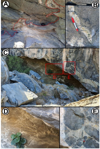 (A) Contacto entre el dioritoide (arriba) y el granitoide (abajo). (B) Las capas o las hojas del dioritoide presentan inclusiones inmiscibles de composiciones f�lsicas. (C) Zona de autolitos de dioritoide con una estructura brechoide. Los cuadros D y E representan acercamientos, tanto de la foliaci�n magm�tica como de los enclaves intermedios, respectivamente.