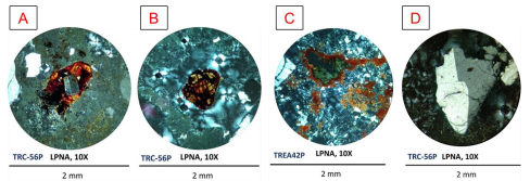 Principales rasgos minerales encontrados a travs del estudio petrogrfico de secciones delgadas en algunas muestras obtenidas del grupo D. (A) Cristal de feldespato alcalino dentro de un cristal de clinopiroxeno tipo aegirina de alto relieve con un alto grado de oxidacin; (B) fenocristal de aegirina en alto relieve; (C) cristalizacin tarda en la matriz de un anfibol rico en Na del tipo arfvedsonita rodeado por fayalita [8]; (D) cristal de sanidina. LPNA: luz polarizada no analizada.