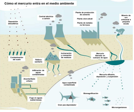 Principales fuentes de contaminaci�n antropog�nicas que emiten Hg en el ambiente. Imagen adaptada del Programa de las Naciones Unidas por el Medio Ambiente (UNEP, United Nation Environmental Programme, por sus siglas en ingl�s) [9].